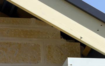 soffit repair Hillbutts