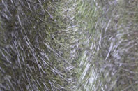 Hillbutts fibreglass roof work